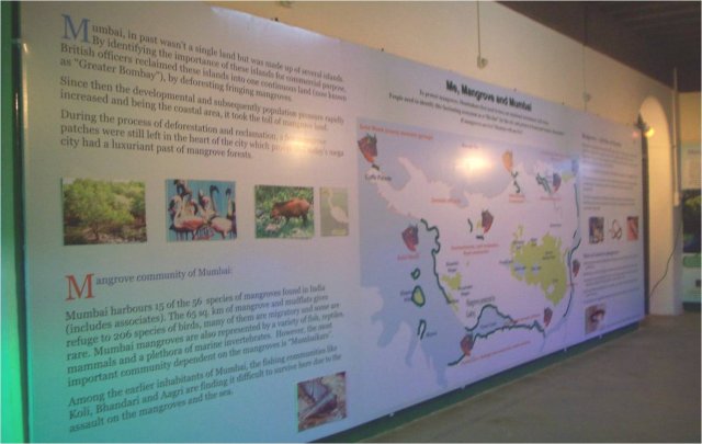Ecology conservation programme in Nhava through the Marine Museum